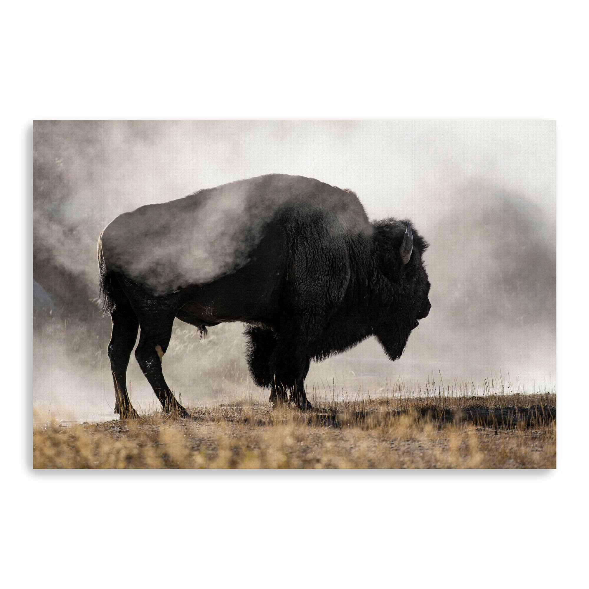 Geyser Basin Canvas Giclee